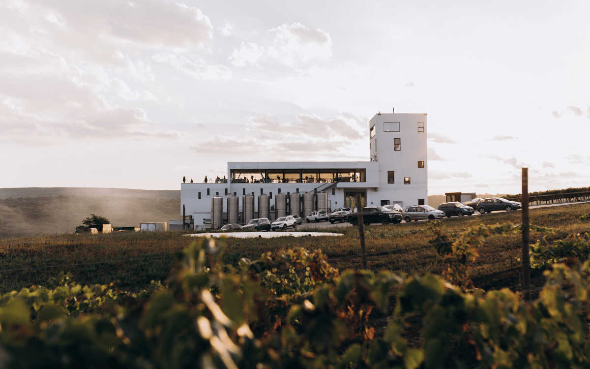 Poiana Winery - спокій серед виноградників