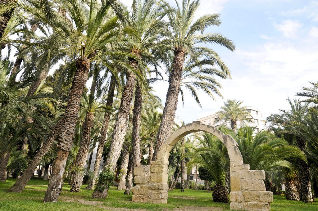 Parc Municipal El Palmeral Elche (Parque de Elche) – найкращі пам’ятки в Бенідормі