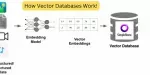 How Vector Databases Work: A Hands-On Tutorial!