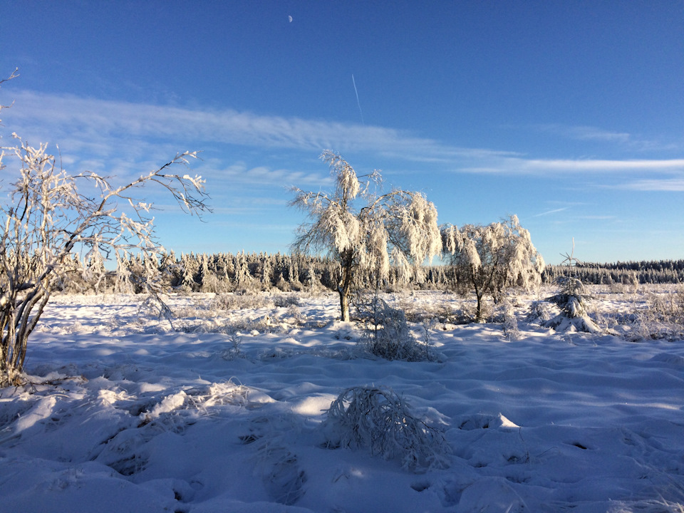 Арденни — зимовий регіон