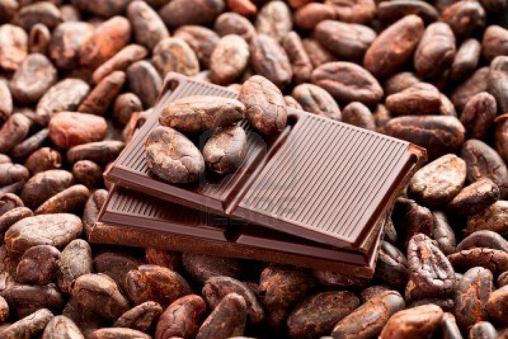 Cocoa Beans